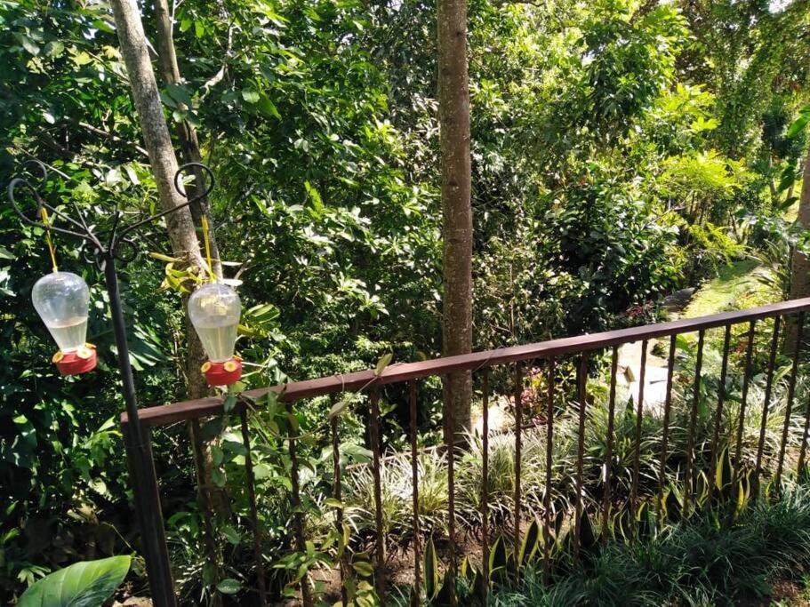 Eco Villas Tambor Tucanes Εξωτερικό φωτογραφία