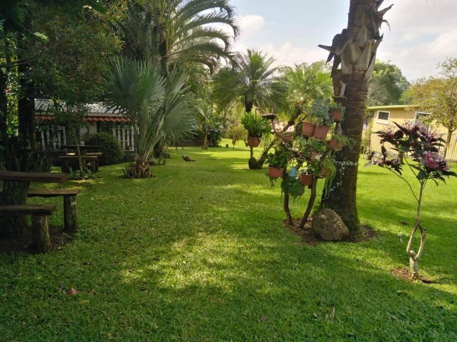 Eco Villas Tambor Tucanes Εξωτερικό φωτογραφία